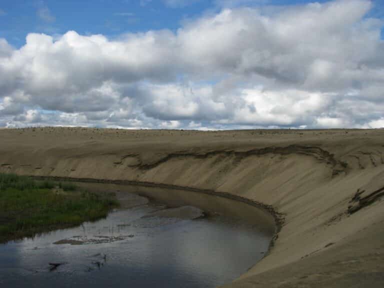 Ahnewetut Creek carves out a curve in the wind-blown dunes in Kobuk Valley National Park. Accessibility statement: Shallow stream at the base of a curved sand dune with sky and white clouds overhead.
KOVA Bear Anaq project on Great Sand Dunes