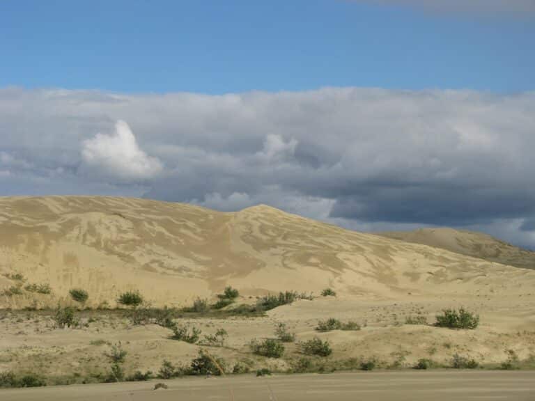 Various slip surfaces on the face of these dunes give the sand different colors and create artistic patterns. Accessibility statement: Tan-colored sand dunes with wavy patterns on the surface.

KOVA Bear Anaq project on Great Sand Dunes