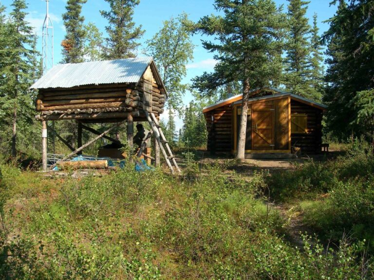 Backcountry cabin and cache in Kobuk Valley National Park built by archeologist J. Louis Giddings, prior to the establishment of the park. Accessibility statement: Log cabin and log cach surrounded by spruce trees.
