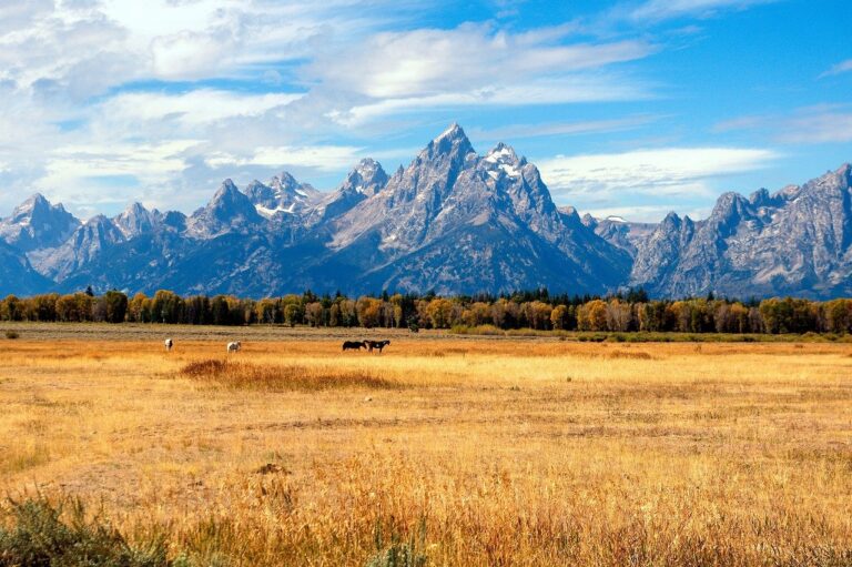 grand-tetons-in-the-fall-3857341_1280