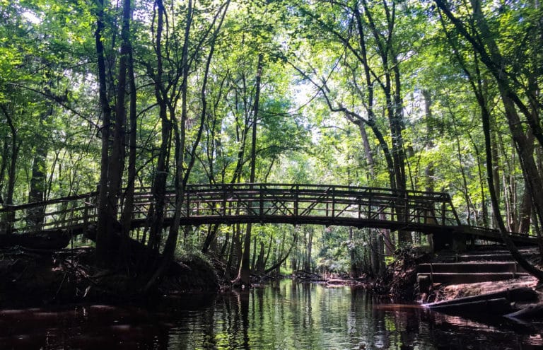 Congaree National Park in South Carolina