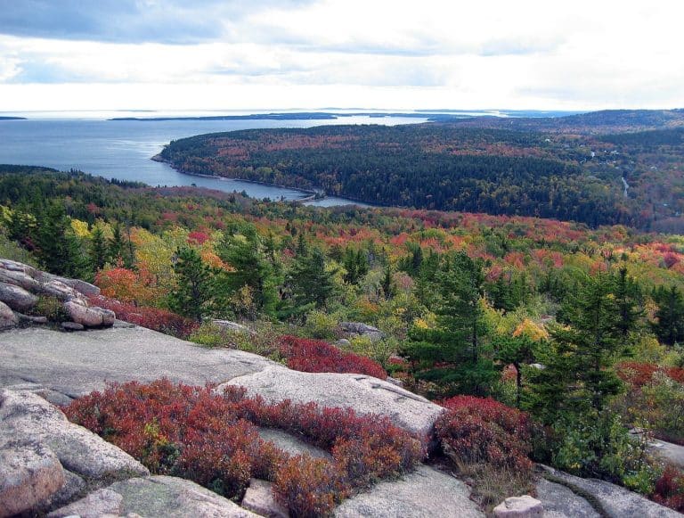 Read more about the article Best National Parks and Forests in the Northeast