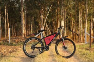 Read more about the article Are E-Bikes Allowed in National Parks?