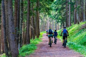 Read more about the article The Absolute 9 Best National Parks for Mountain Biking