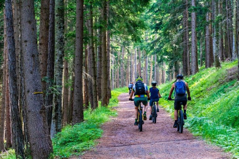 Read more about the article The Absolute 9 Best National Parks for Mountain Biking