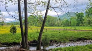 Read more about the article Best Time to Visit the Great Smoky Mountains